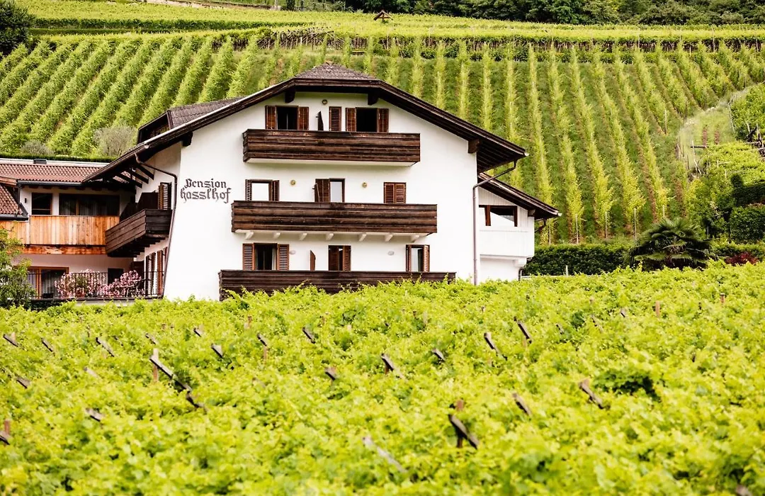 Pension Hasslhof-1